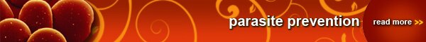 parasite_prevention2